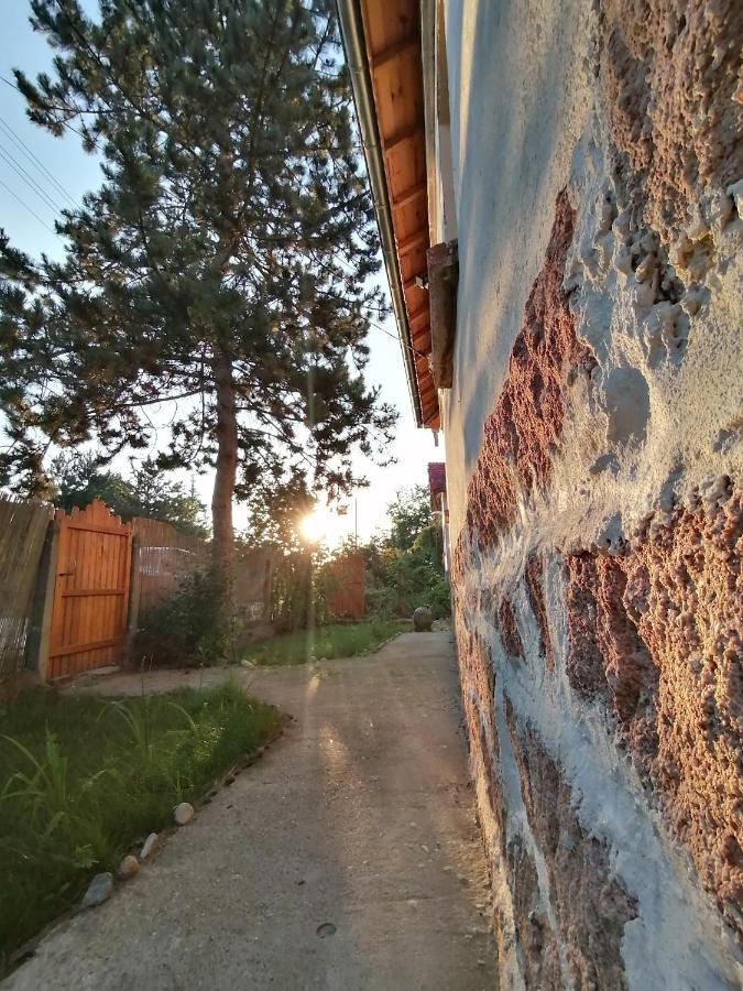 Ижата - Топлина И Уют Borovitsa Exterior foto