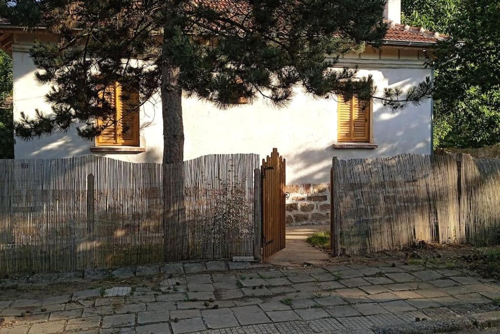 Ижата - Топлина И Уют Borovitsa Exterior foto