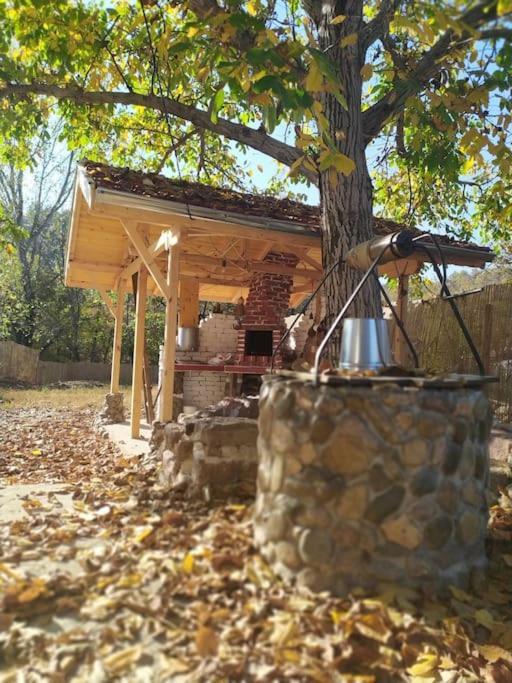 Ижата - Топлина И Уют Borovitsa Exterior foto